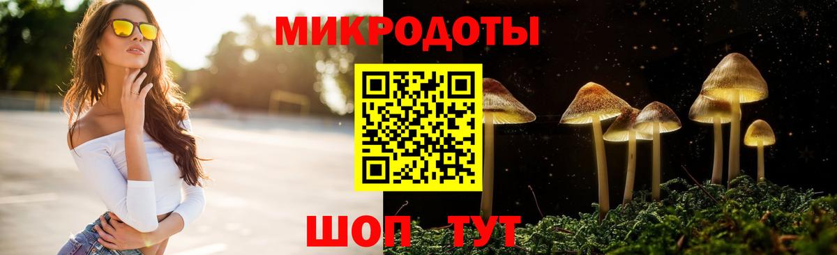 Ишим  что такое   Вход с VPN  Псилоцибиновые грибы Psilocybine cubensis 